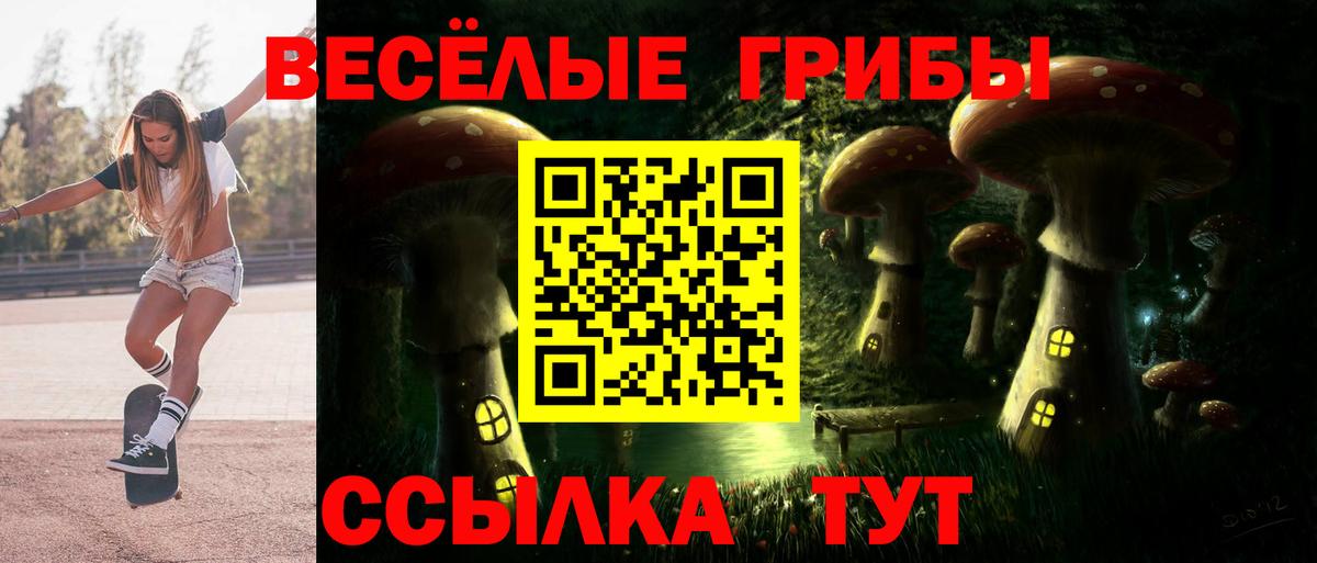 Галлюциногенные грибы GOLDEN TEACHER Волжск