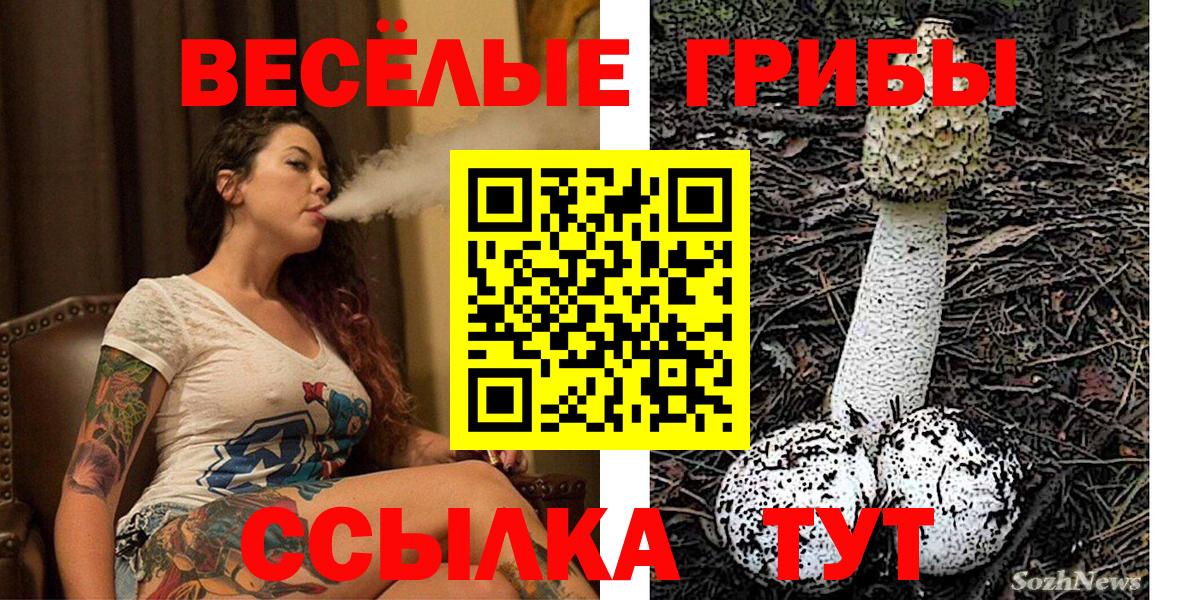 Волжск  Псилоцибиновые грибы MAGIC MUSHROOMS  Вход с VPN  Галлюциногенные грибы Cubensis 
